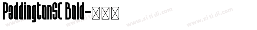 PaddingtonSC Bold字体转换